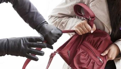 В Нижегородской области серийный вор напал на женщину и похитил её сумку