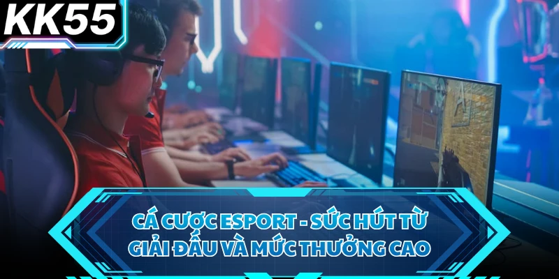 Cá Cược Esport - Sức Hút Từ Giải Đấu Và Mức Thưởng Cao
